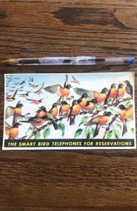 1960s telephone book promo”smart bird-early bird”