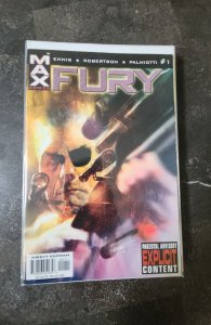 Fury #1 (2001)