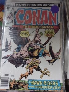 CONAN  THE BARBARIAN # 75  MARVEL 1977  BELIT  HAWK RIDERS