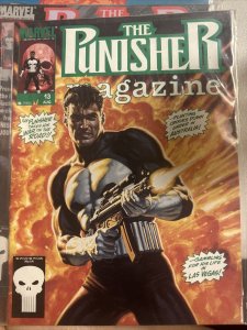 The Punisher Magazine #13 (Marvel Comics 1990) Tom DeFalco A3