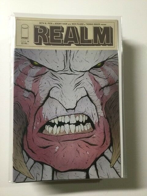 Realm 14 Near Mint Image Comics HPA