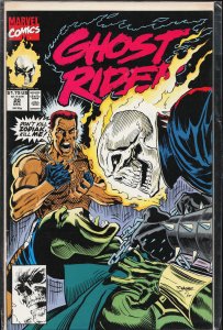 Ghost Rider #20 (1991) Ghost Rider