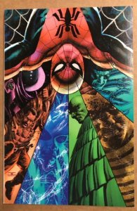 The Amazing Spider-Man #6 Cassaday Cover (2022)