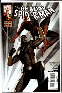 The Amazing Spider-Man #612  (2010)