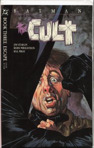 Batman: The Cult #3 (1988) Batman