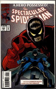 The Spectacular Spider-Man #208 (1994) Spider-Man