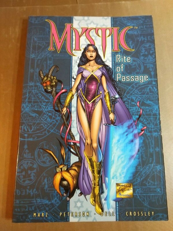 Mystic Traveler Ser.: Rite of Passage by Ron Marz (2003, Trade Paperback)