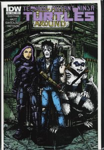 Teenage Mutant Ninja Turtles #46 Cover B (2015)