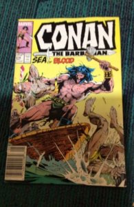 Z Conan the Barbarian #218 (1989) Sea Of Blood! Alcala Art! High-Grade! NM- Wow!