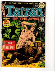 Tarzan # 208 NM- DC Comic Book Early DC Issue Joe Kubert Cover Art TD6 