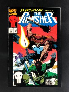 The Punisher #78 (1993)