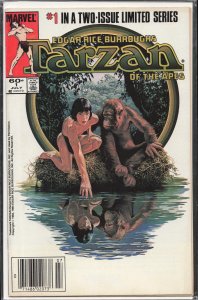 Tarzan of the Apes #1 (1984) Tarzan