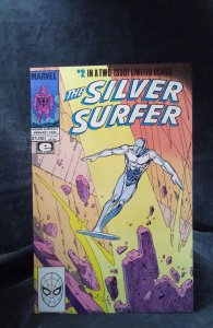 The Silver Surfer #2 (1989)