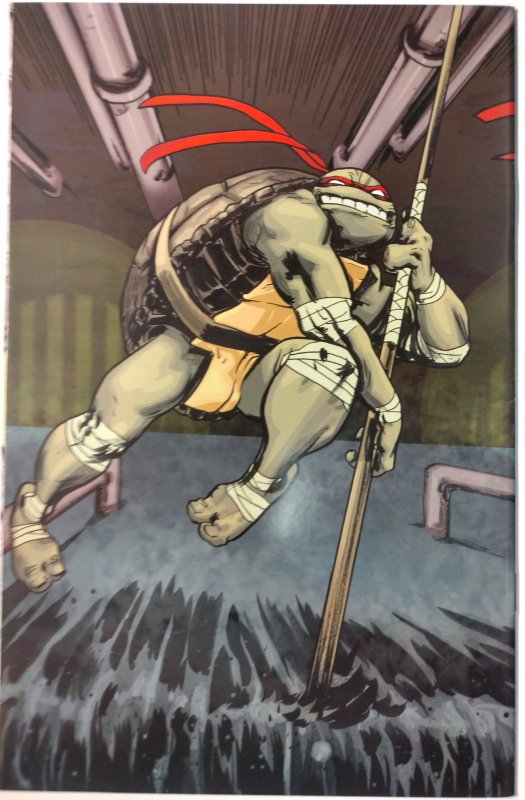 Teenage Mutant Ninja Turtles #1 (9.0, 2011) Cover C - Leonardo