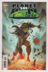 Planet She-Hulk #2 Bonaccorso Knullified Variant (Marvel, 2025) NM