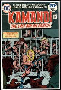 Kamandi, the Last Boy on earth #16 (1974) Kamandi