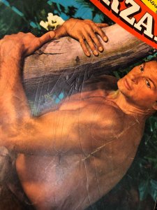 Edgar Rice Burroughs' Tarzan #43 (1953)
