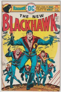 Blackhawk #244 (Jan-Feb 1976, DC), VG-FN condition (5.0), first issue since 1968