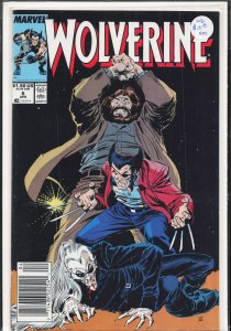 Wolverine #6 (1989) Wolverine