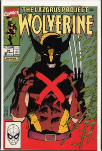 Wolverine #29 (1990) Wolverine