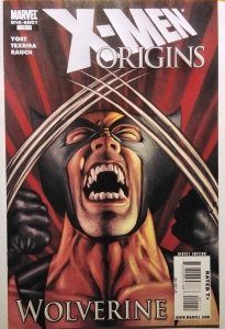 X-Men Origins: Wolverine (2009)