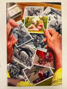 Non-Stop Spider-Man #1 Ross Cover B (2021)