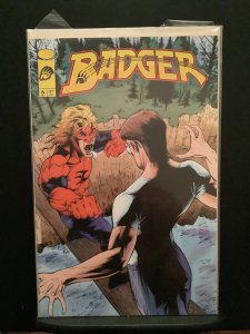 Badger #6 (1997)