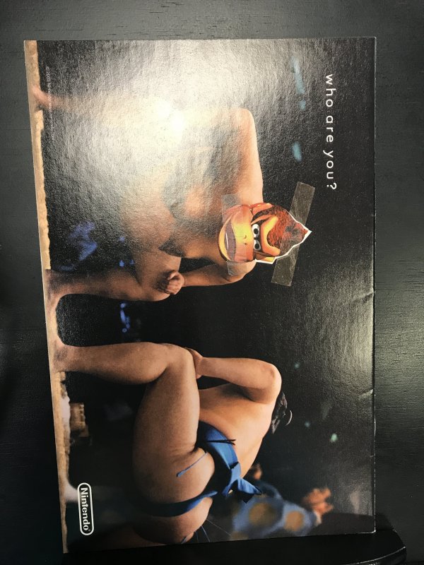 The Punisher #34 (2003)nm