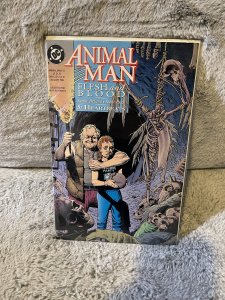Animal Man #55 (1993)