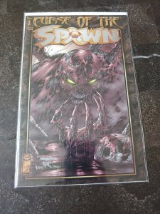 Curse of the Spawn #1 (1996)
