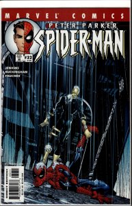 Peter Parker: Spider-Man #32 (2001)