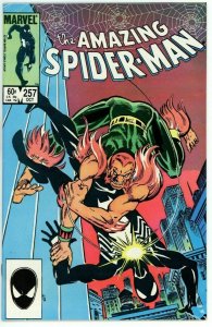 Amazing Spider Man #257 (1963) - 9.2 NM- *1st Appearance Ned Leeds Hobgoblin*
