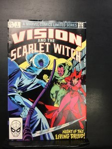 Vision and the Scarlet Witch #1 Direct Edition (1982) nm