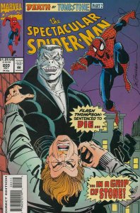 Spectacular Spider-Man, The #205 FN ; Marvel | Tombstone