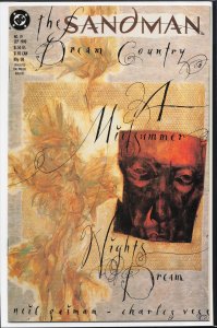 The Sandman #19 (1990) Sandman