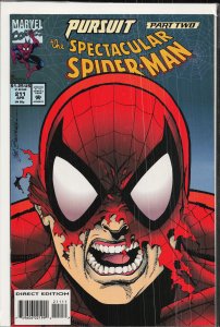 The Spectacular Spider-Man #211 (1994) Spider-Man