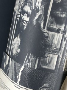 Famous Monsters of Filmland #89 (1972)