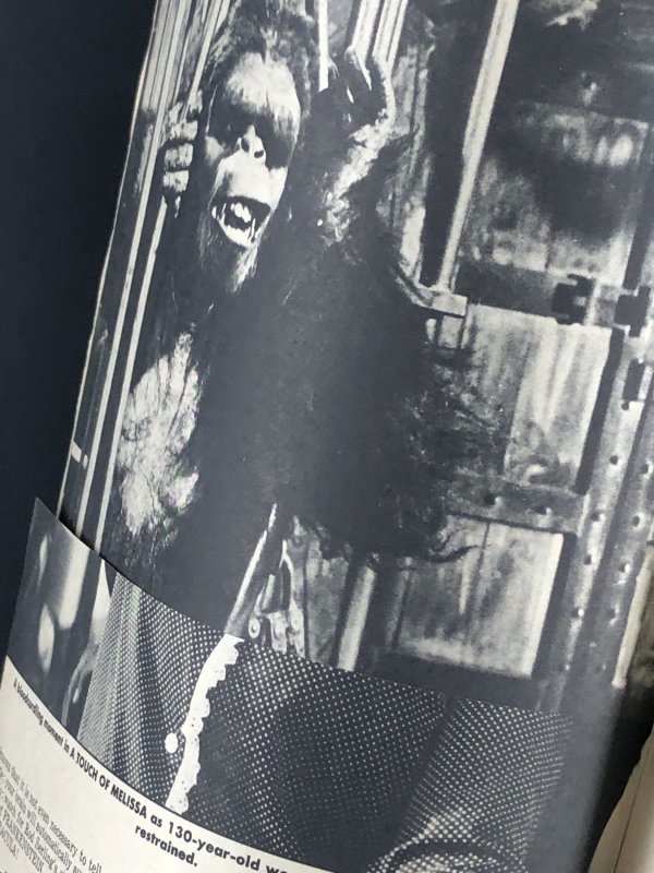 Famous Monsters of Filmland #89 (1972)