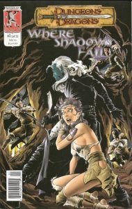 DUNGEONS & DRAGONS: WHERE SHADOWS FALL #01 (2003) MATT HALEY