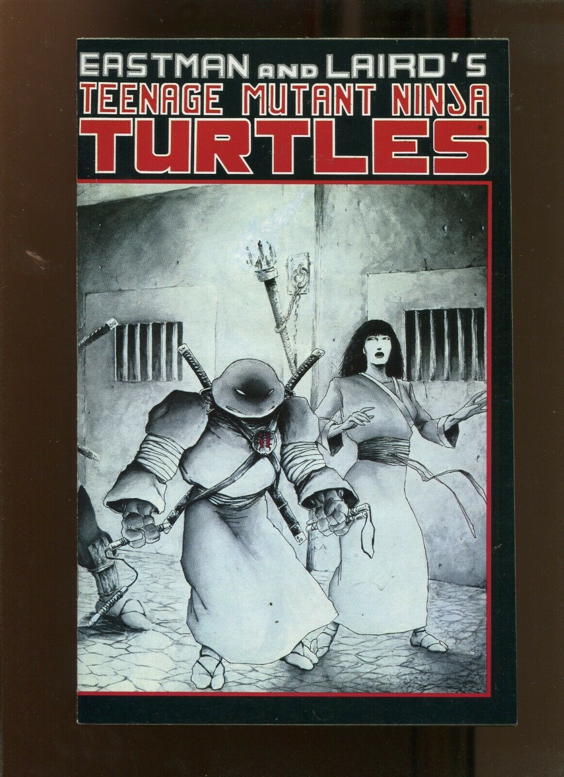 Teenage Mutant Ninja Turtles: The Big Book of Ninja Turtles – Red