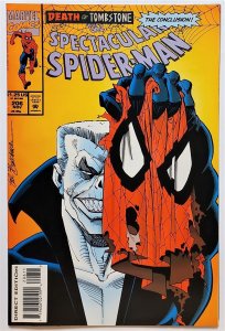 The Spectacular Spider-Man #206 (Nov 1993, Marvel) FN/VF  