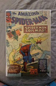The Amazing Spider-Man #24 (1965)