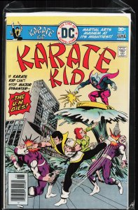 Karate Kid #2 (1976) Karate Kid