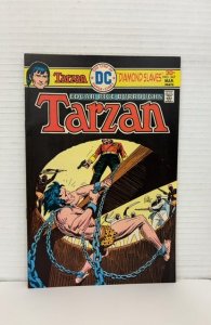 Edgar Rice Burroughs' Tarzan #247 (1976)