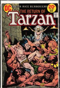 Edgar Rice Burroughs' Tarzan #222 (1973)