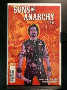 Sons of Anarchy #3 Cover A - Garry Brown (2013)
