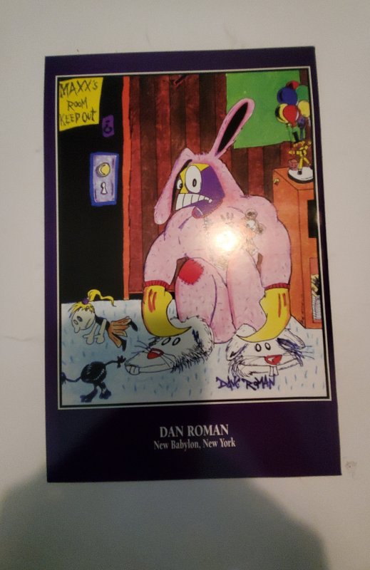 The Maxx #17 (1995) NM Image Comic Book J741