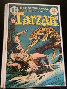 Tarzan #236 (1975)