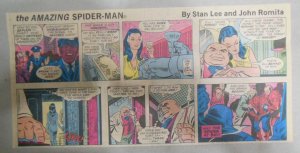 Spiderman Sunday by Stan Lee & John Romita from 7/31/1977 Size: 7.5 x 15 inches