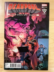 Deadpool: Last Days of Magic Fried Pie Color Cover (2016)